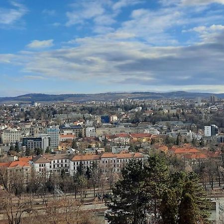 Farmec Studio Lejlighed Cluj-Napoca Eksteriør billede
