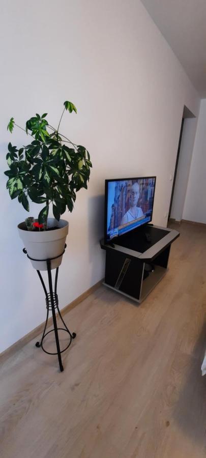 Farmec Studio Lejlighed Cluj-Napoca Eksteriør billede