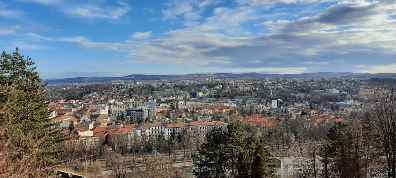 Farmec Studio Lejlighed Cluj-Napoca Eksteriør billede