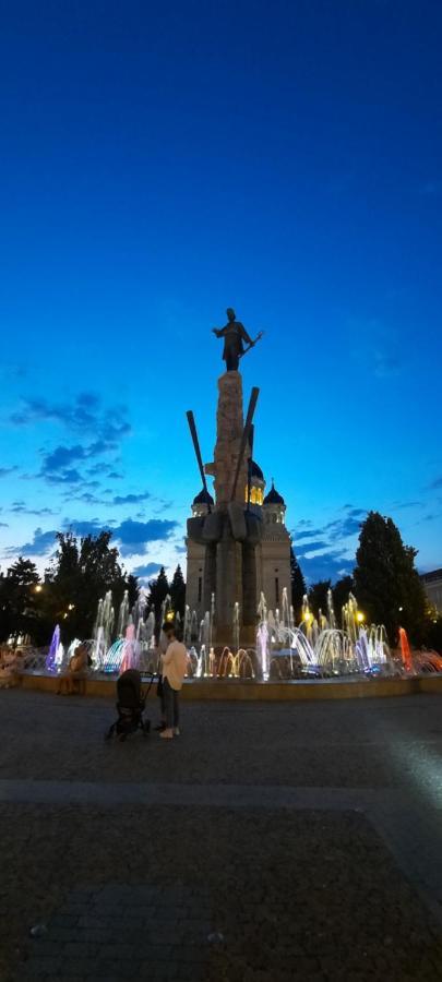 Farmec Studio Lejlighed Cluj-Napoca Eksteriør billede